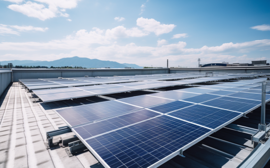 Solar panels installed on the roof of a cold storage warehouse