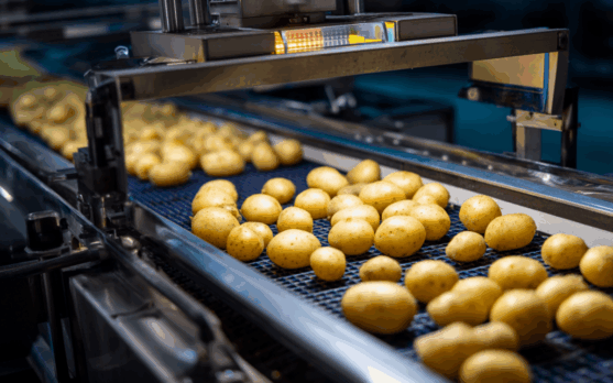 Close up of optical sorting machine inspecting potatoes on conveyor