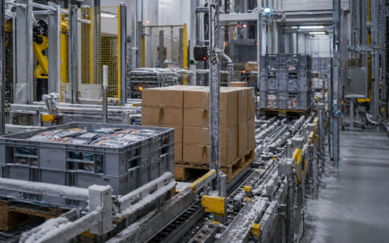 Automated warehouse with frozen details