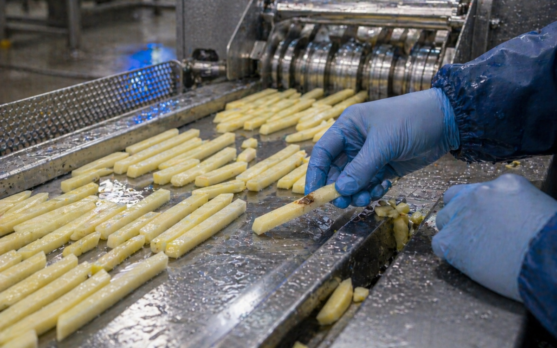 Inspecting fries on factory conveyor